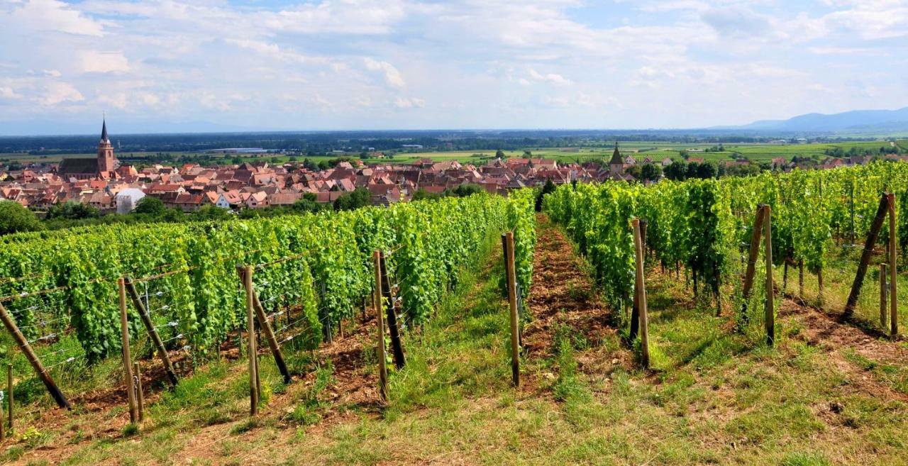 Gite Atelier De Hansi - Colmar Centre Екстериор снимка