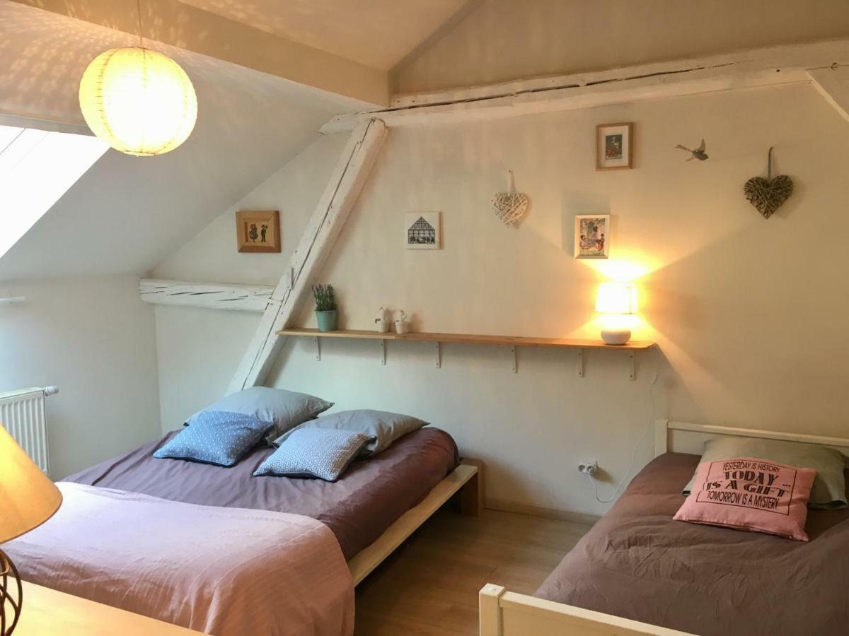 Gite Atelier De Hansi - Colmar Centre Екстериор снимка
